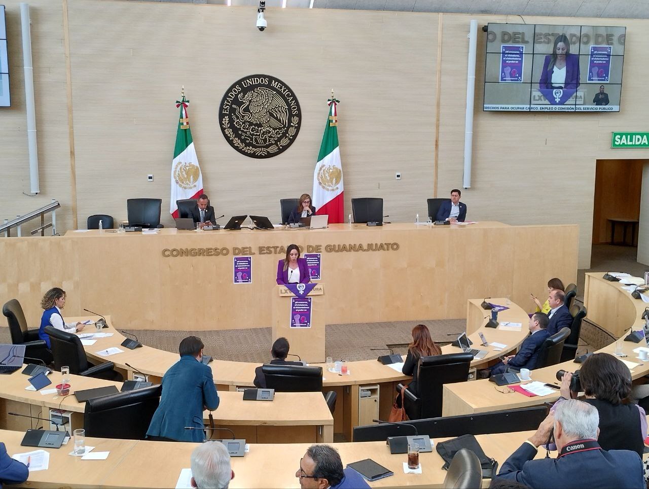 Congreso de Guanajuato aprueba Ley 3 de 3 contra Violencia de Género