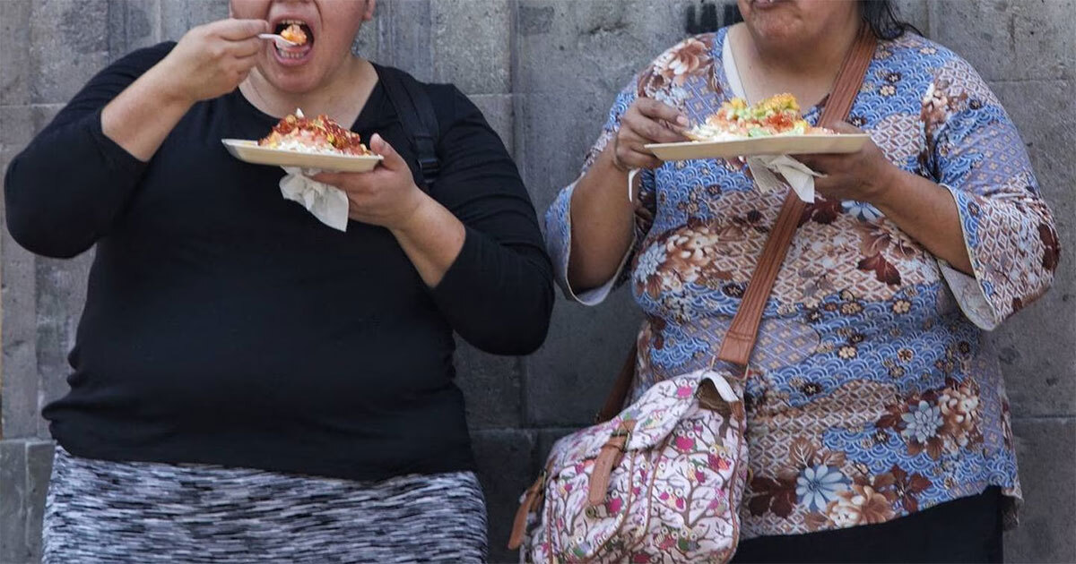 Descubren célula que da más hambre a personas con obesidad: mejoraría tratamientos para perder peso