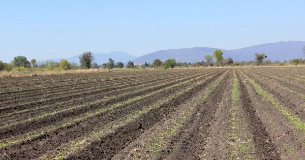 'No hay recurso que alcance': Diego Sinhue critica la falta de apoyos federales para el campo de Guanajuato