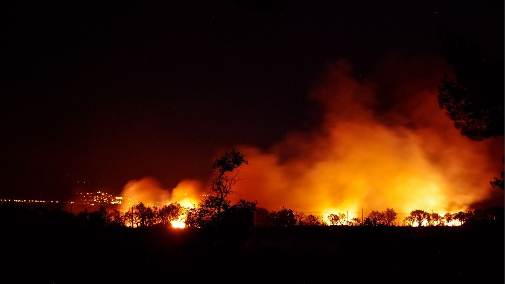 A causa de incendios constantes, Jalisco pierde más de 100 mil hectáreas de bosques en solo cinco meses