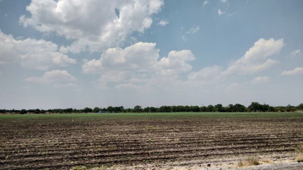 Preocupa al campo de Guanajuato retraso de lluvias y prevén pérdidas