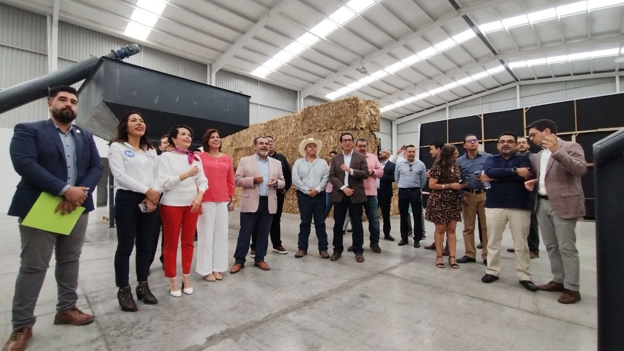 Abre General Biochar Systems en Guanajuato para convertir biomasas en carbono vegetal