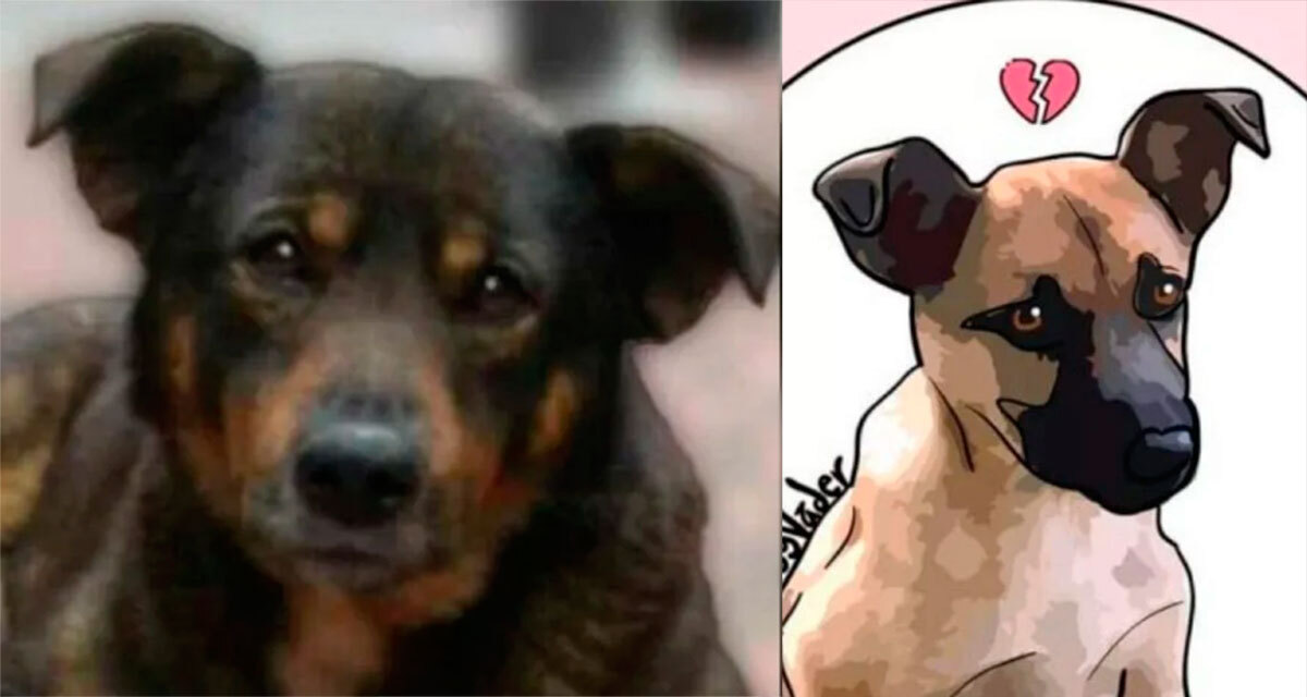 Niño se culpa por muerte de su perro Scooby en cazo hirviendo: “si no me hubiera seguido...“