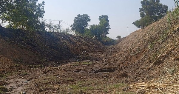 Niegan tala y destrucción en el Río Guanajuato de Irapuato; solo fue limpieza, dicen autoridades