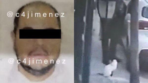 Arrestan a otro asesino de animales, mató con machete a un gato en Tlalnepantla 