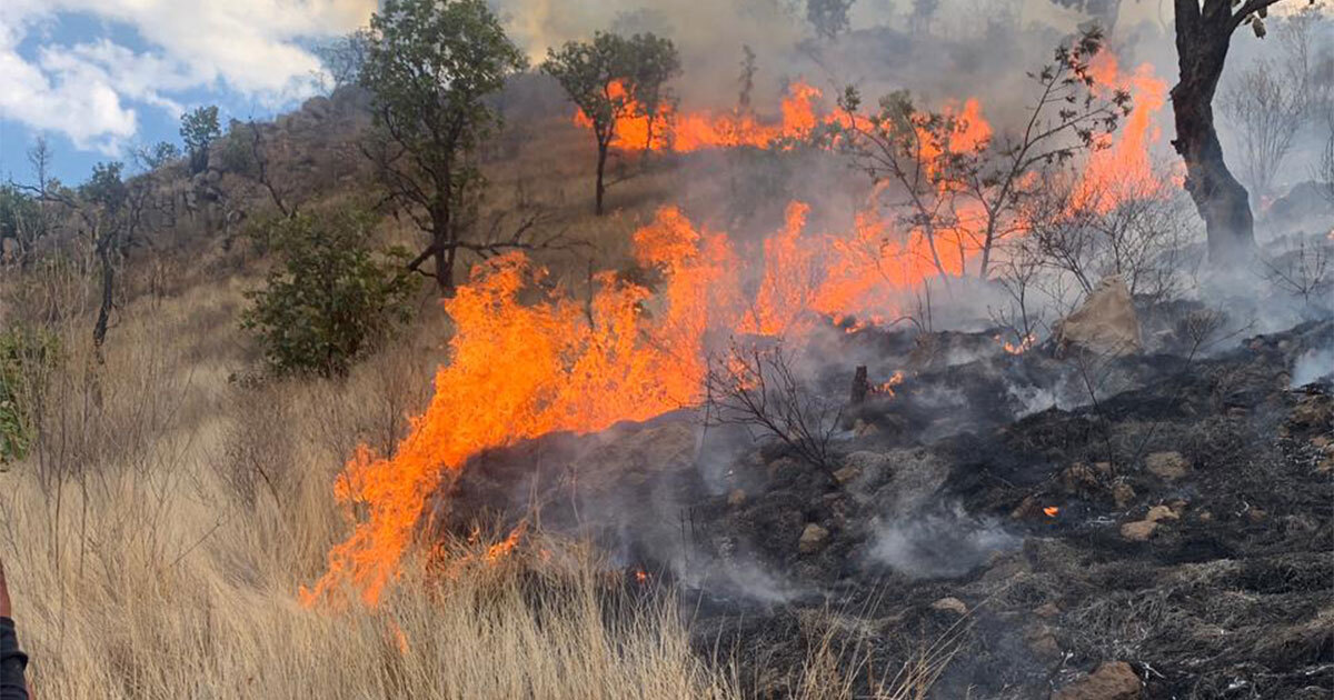 En menos de tres días, suman dos incendios en la Sierra de Pénjamo 