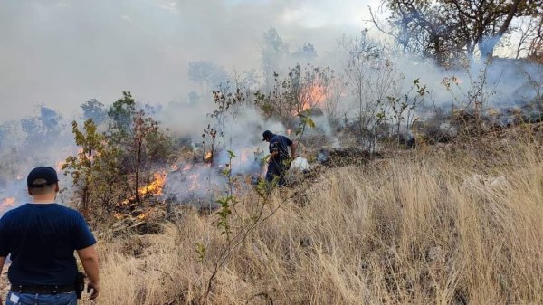 Incendio en Sierra de Pénjamo ha consumido ya 100 hectáreas; luchan por apagarlo