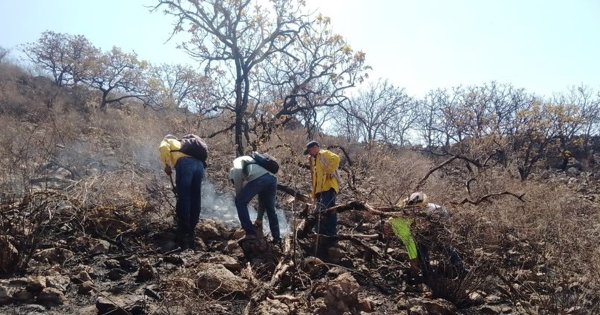 Luego de tres días, bomberos sofocan incendio en la Sierra de Pénjamo