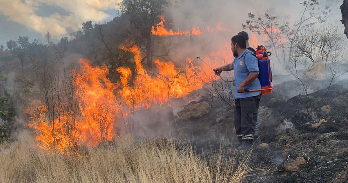 Incendio en la sierra de Pénjamo fue provocado; consumió más de 200 hectáreas 