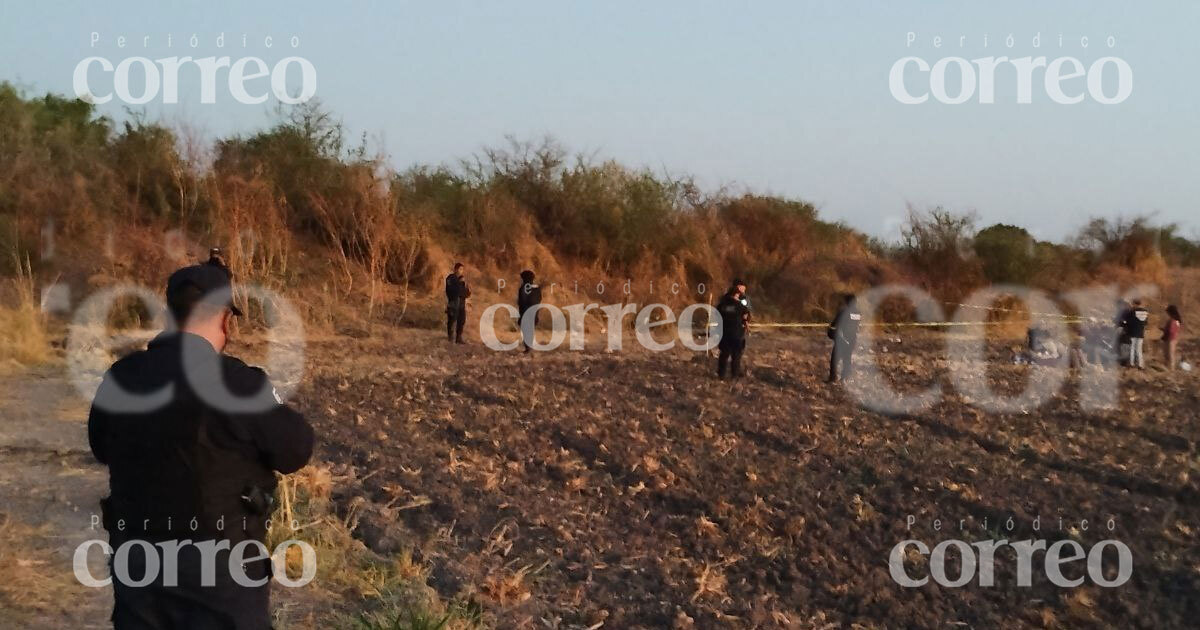 Hasta Encontrarte descubre otro cuerpo en Colinas del Río  en Irapuato; FGE ya había encontrado restos 