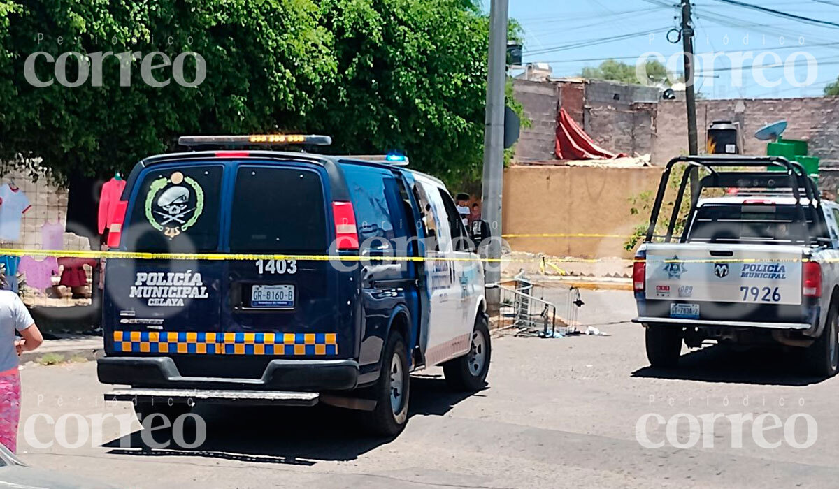 Asesinan a dos mujeres frente a bebé de un año en Celaya, Guanajuato; sería la nieta de una de ellas 