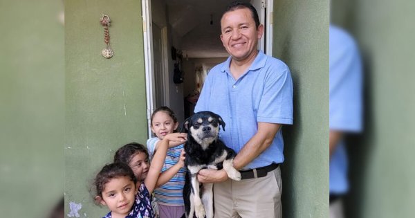 Centro de Control Animal de Salamanca busca familia para 12 perritos rescatados