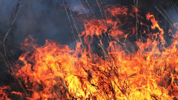 Incendios en Celaya aumentan por las altas temperaturas; bomberos atienden 12 diarios 