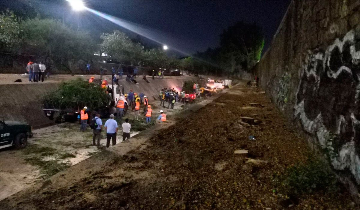 Tala de árboles en León: acaban con más de 60 ejemplares en Malecón del Río en la madrugada