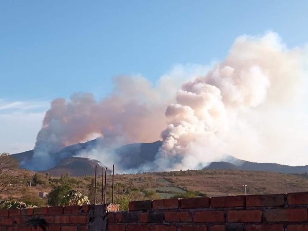 Sierra de Pénjamo está en llamas, el tercer incendio de la temporada