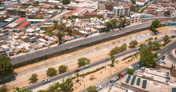 Deforestación es un problema viejo que nunca se atendió: asociación Primero León