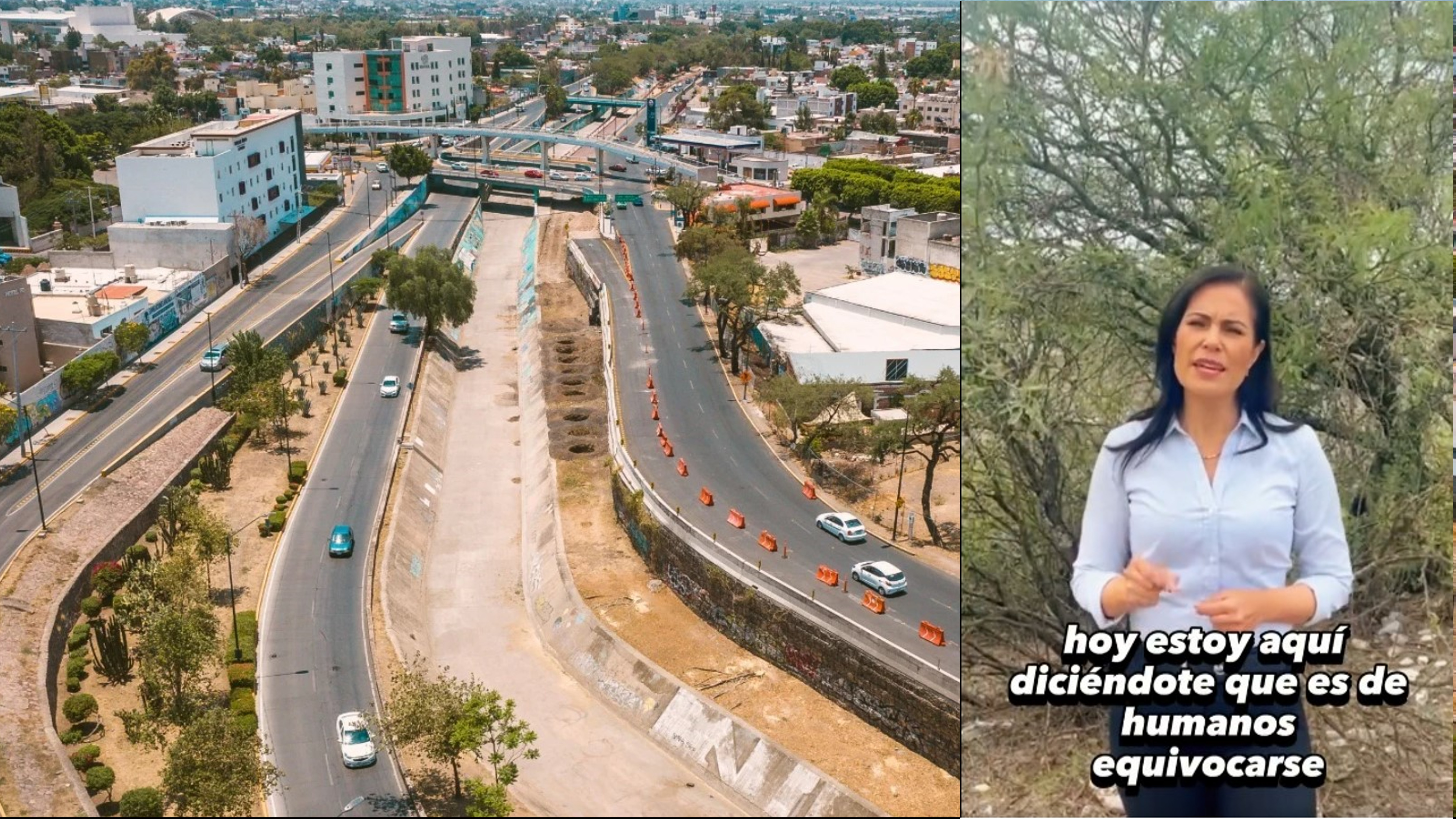 Ale Gutiérrez se disculpa por tala de árboles en León y sube a 11 mil la meta de plantación