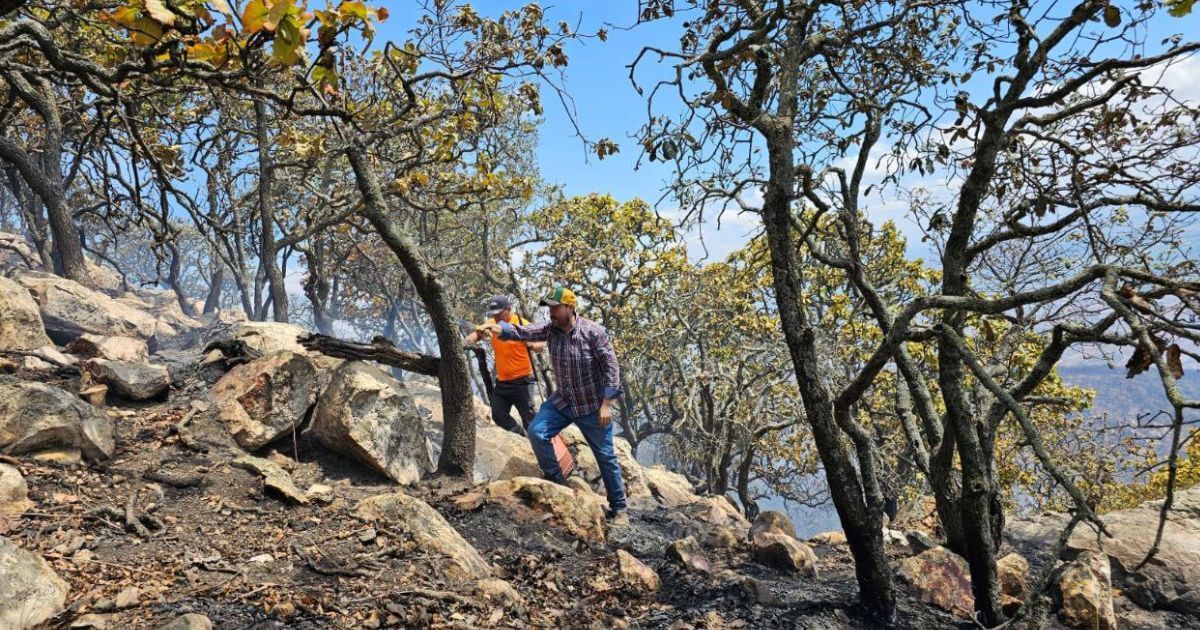 Incendio forestal en la Sierra de Pénjamo daña más de 400 hectáreas