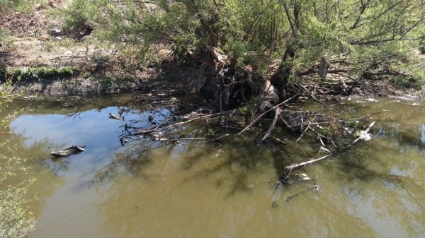 Irapuato: contaminación del Río Silao es por falta de cultura, señala funcionario