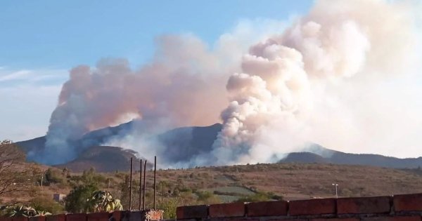 En Guanajuato van 30 incendios forestales durante el 2023 y los daños superan las 40 mil hectáreas 