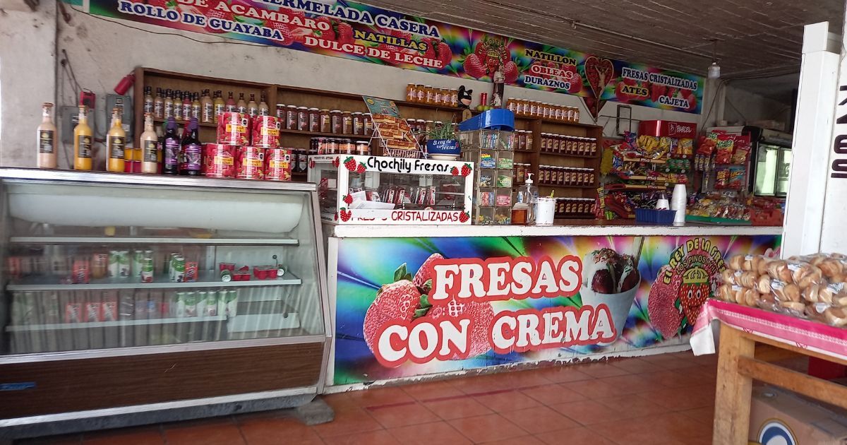 Aumenta consumo de fresas congeladas en Irapuato para refrescarse del intenso calor 