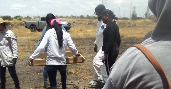 Salamanca: Buscadoras localizan restos de tres personas en predio al oriente del municipio