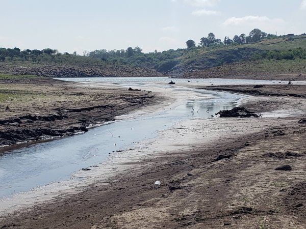 Presas y ríos de Pénjamo sufren sequía, pero agricultores inician la siembra