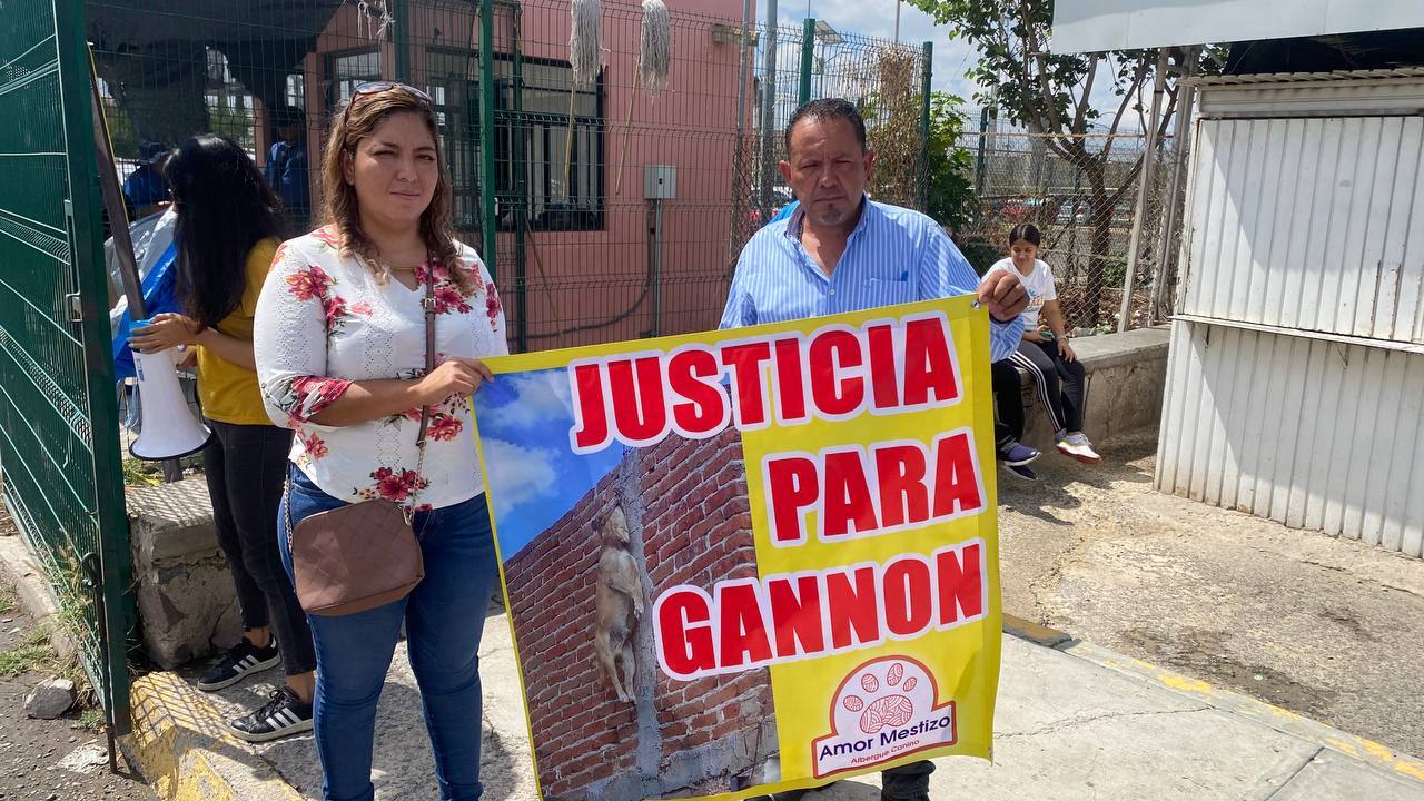 Caso Gannon en León: un perro se ahorcó hasta la muerte, por rescatarlo ahora enfrentan cargos