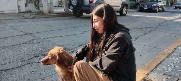 Habitantes de Celaya acuden a Kioscos de la Adopción y dan hogar a 84 perros