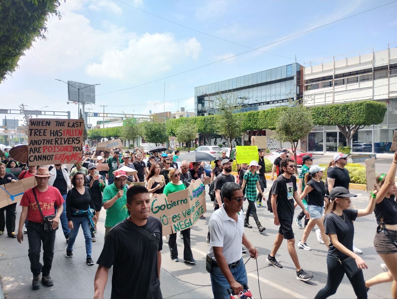 Ambientalistas salen a las calles de León a protestar por la tala de árboles en Malecón del Río 