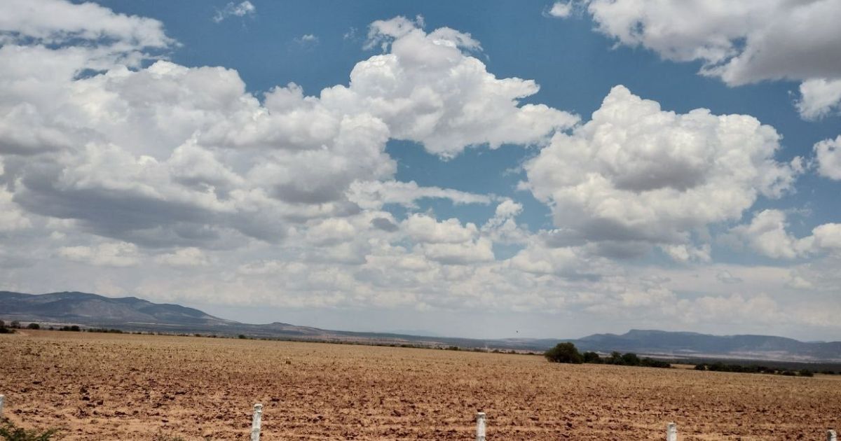 Agricultores de Guanajuato tienen esperanza en que temporada de lluvias será 'buena' con el campo 