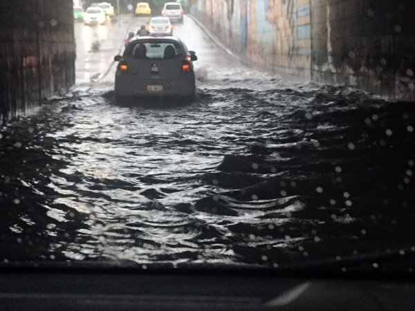 Tormenta en Irapuato causa encharcamientos, árboles caídos y apagones 