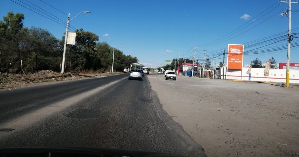 León: evitarán cortar mezquites en obras del bulevar La Luz tras polémica por tala en el Malecón