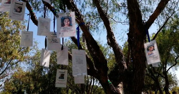 Búsqueda de desaparecidos en Guanajuato no se detendrán tras caso de emboscada en Jalisco, aseguran autoridades 