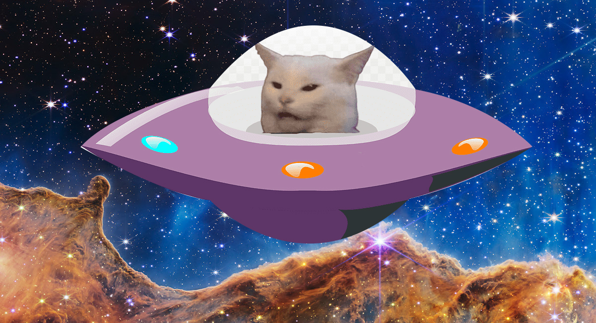 'Michi go home'; los gatos son extraterrestres según esta loca teoría de Tik Tok 