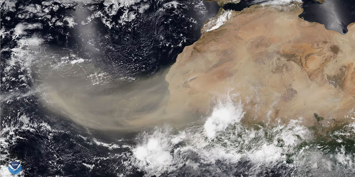 Polvo del Sahara llega a México, ¿a qué estados afectará y cuánto tiempo estará?