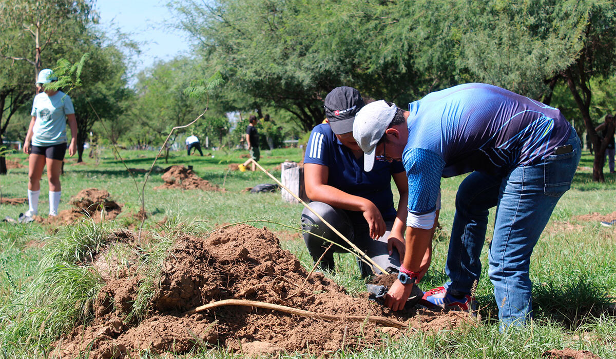 Reforestan con 100 nuevos árboles el Eco Parque Los Eucaliptos en Silao