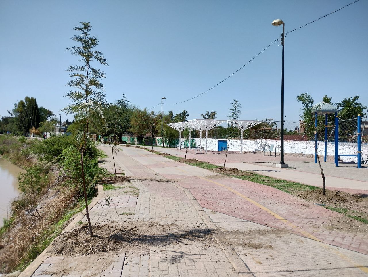 Plantan casi 1,500 árboles en León, pero ninguno en el Malecón del Río ni sus alrededores