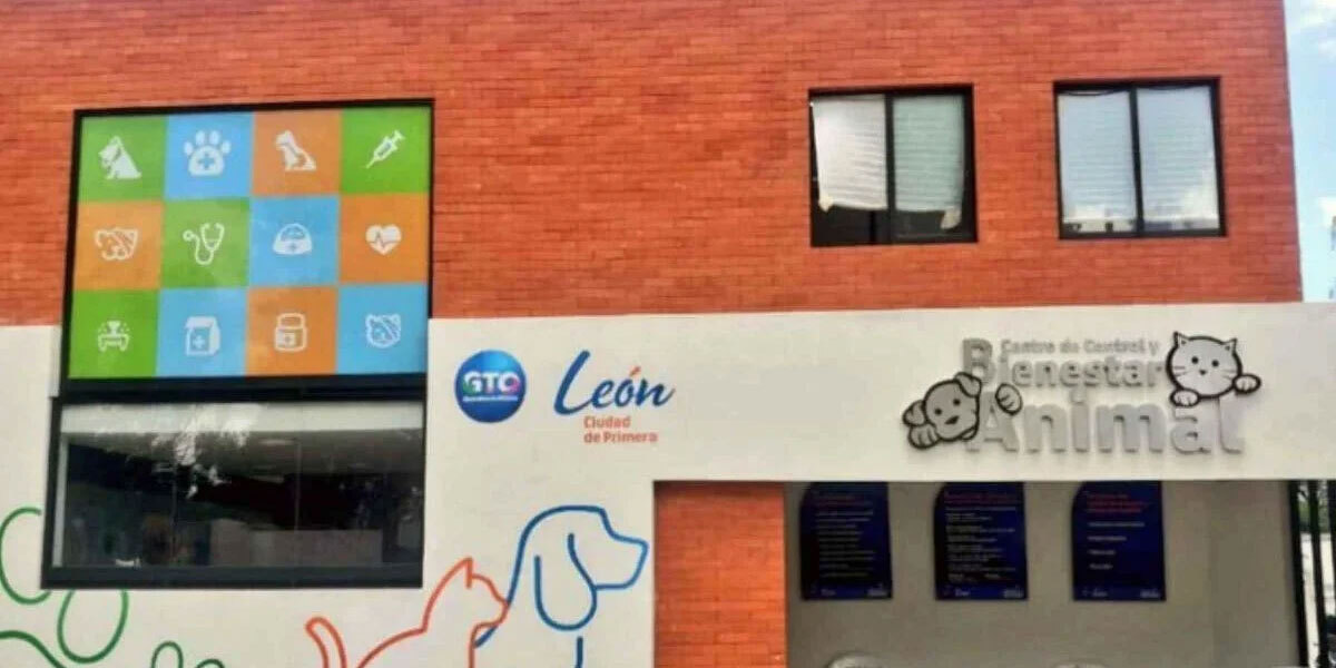 Hospital veterinario en León “está por arrancar”, asegura Ale Gutiérrez 