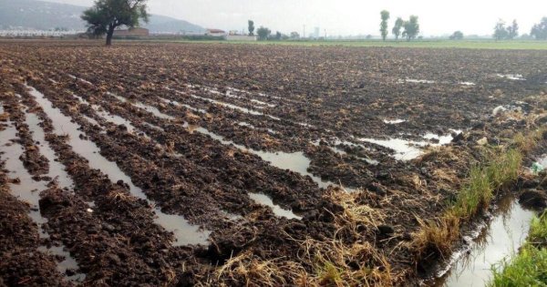 'Falta de apoyo al campo en Guanajuato obliga a las personas a migrar o caer en la delincuencia': Obispo de Irapuato 