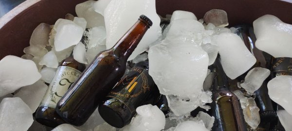 Festival de la Cerveza en Celaya dejó una derrama de más de 8 mdp; más de 7 mil personas visitaron la ciudad 