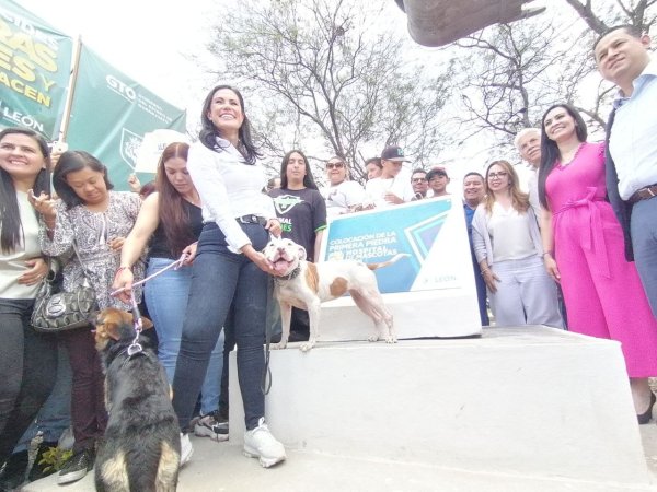 Hospital Veterinario en León ya tiene la primera piedra: obra durará 11 meses