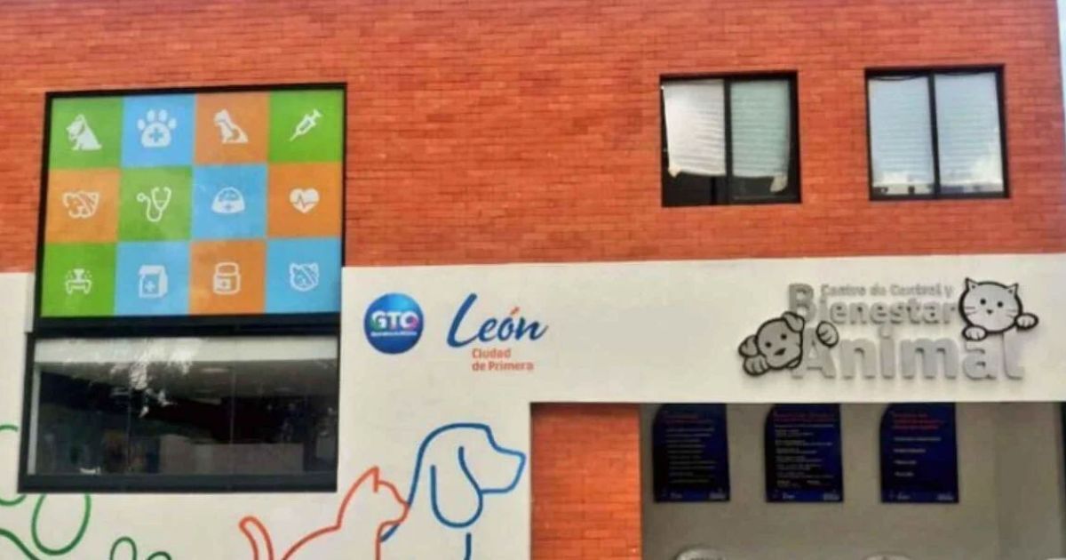 Hospital Veterinario de León: Servicios, apertura y todo lo que tienes que saber 