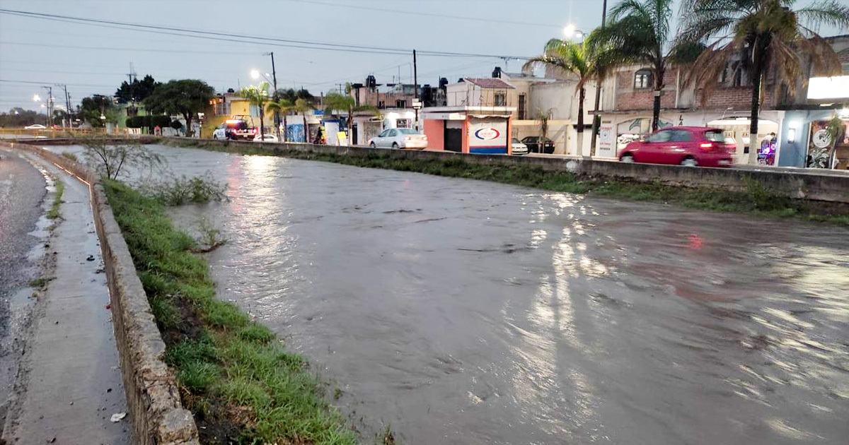 Lluvia en León provoca colapso en el transporte: hay árboles caídos, inundaciones y coches varados