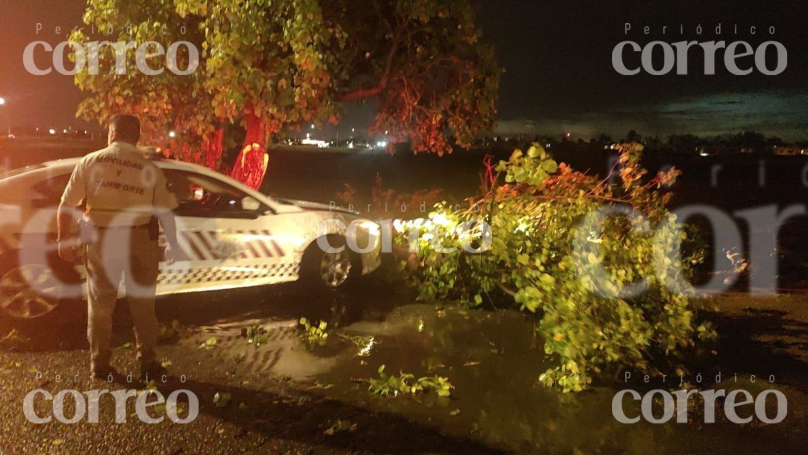 Lluvia sorpresiva causa estragos en Salamanca: Árboles y anuncios caídos y colonias sin electricidad