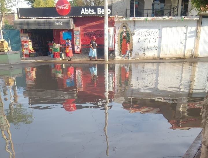 Comunidad El Carmen en Irapuato vive entre aguas negras y olores fétidos desde hace un año