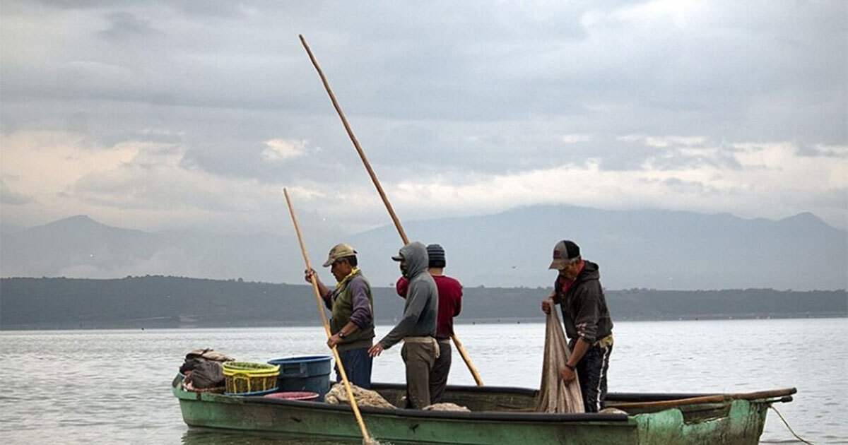 Robo y escasez de peces afectan a pescadores de Acámbaro y Tarimoro 