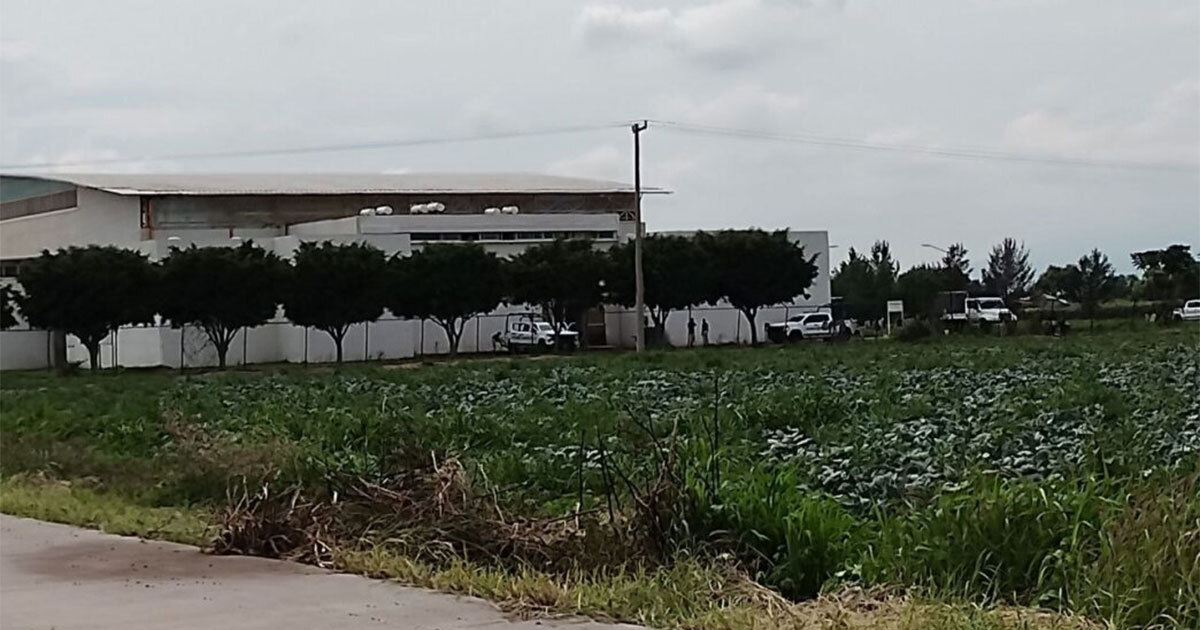 Polideportivo de Valtierrilla en Salamanca queda en el abandono como base de la Guardia Nacional