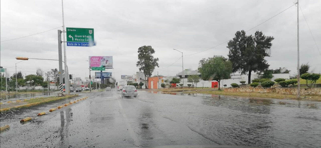 Lluvias de agosto han dejado al menos 10 árboles caídos en Celaya