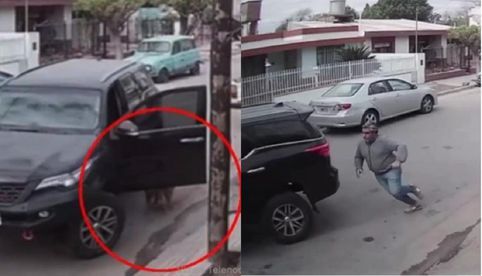 Perro choca camioneta contra una casa y se hace viral, ¿cómo lo hizo?